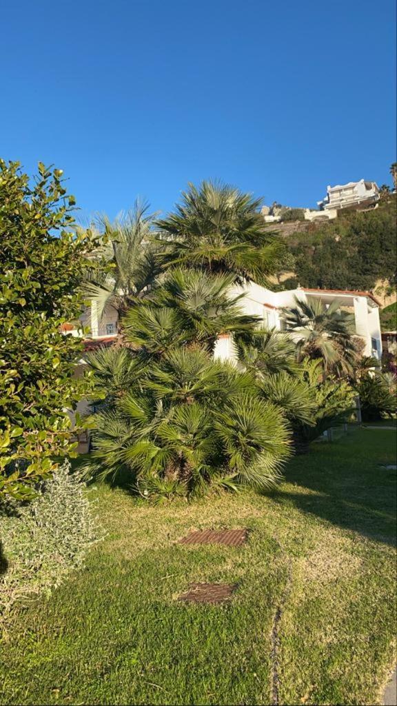 Casa Margherita Ischia Forio  Екстер'єр фото